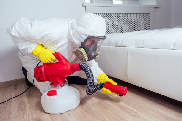 Best Insect Control  in Buffalo, SC