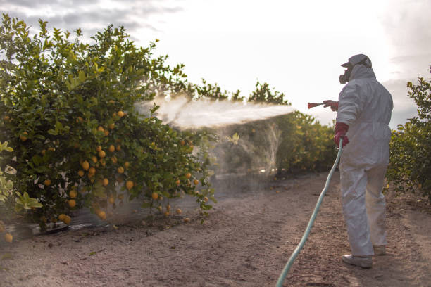 Best Exterminator Services  in Buffalo, SC
