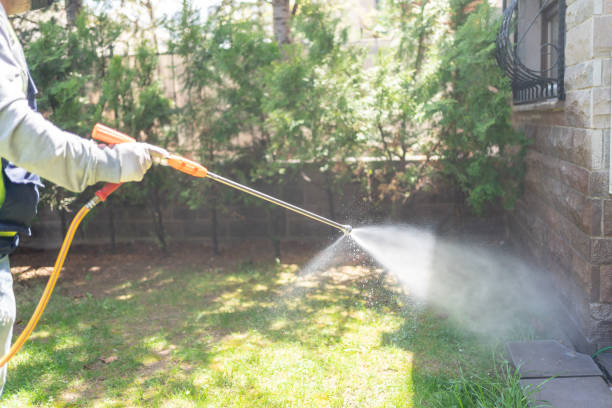 Best Cockroach Control Services  in Buffalo, SC
