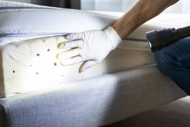 Pest Control for Restaurants in Buffalo, SC