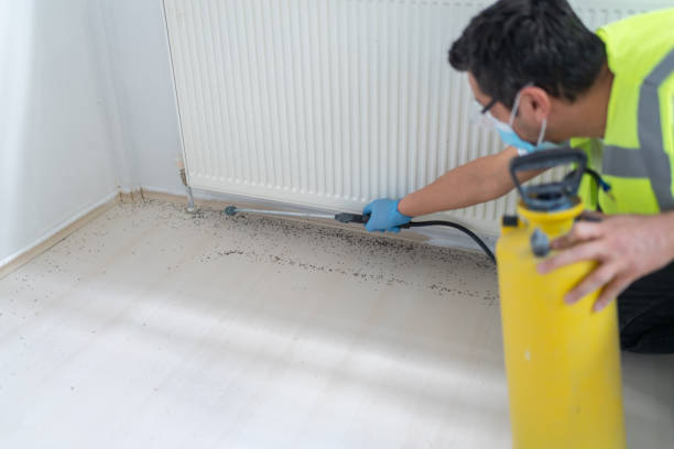 Best Flea Control Services  in Buffalo, SC
